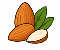 Almond Oil