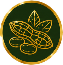 Groundnut